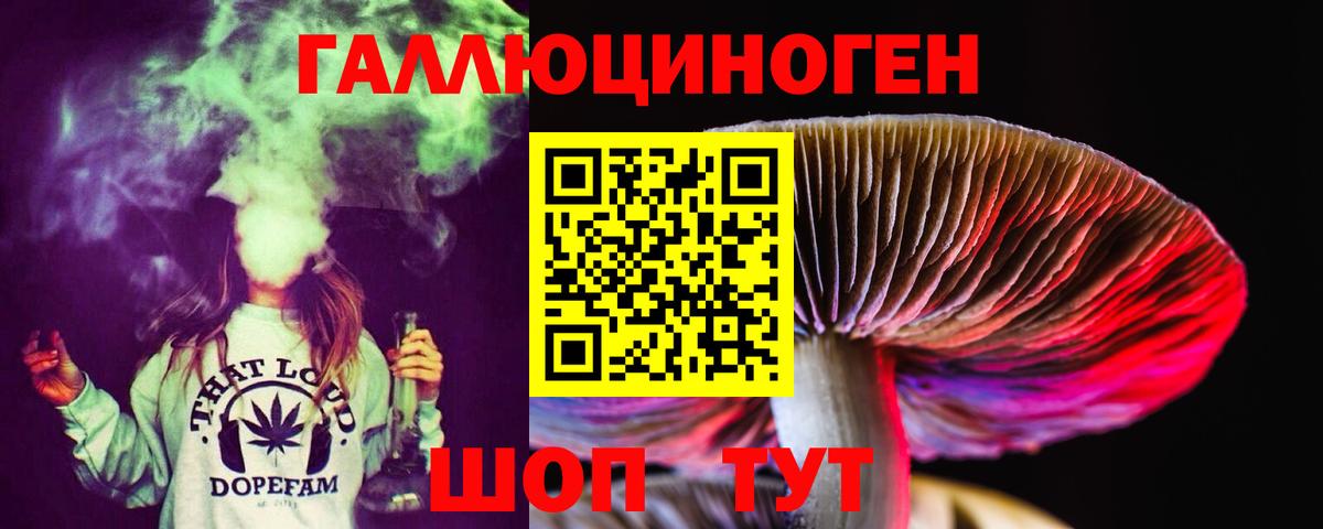 купить наркотик  Вход с VPN  Псилоцибиновые грибы Cubensis  Шадринск  Псилоцибиновые грибы ЛСД 