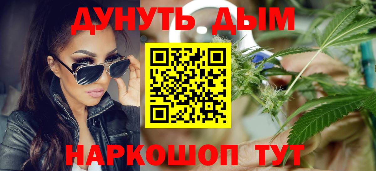 Каннабис сатива Шадринск